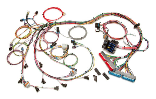 1998-2004 GM LS1/LS6 EFI Harness